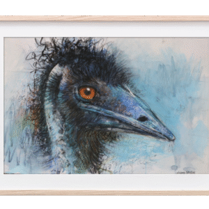 Eddy The emu is regarded in Indigenous cultures as a creator spirit