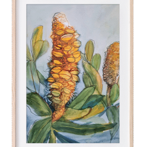 Julianne Gosper Art - Banksia